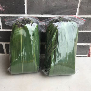 [DIOA MALL] (available fast delivery) 鲜粽叶Zongzi leaves Zongzi leaves fresh vacuum packaging Dragon Boat Festival Zongzi leaves 100 pieces + brown rope