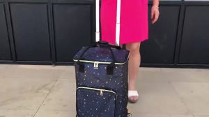 🔥[SG Stock]🔥Retractable shopping trolley/Trollies market trolley Trollies MarketTrolley Folding Grocery Shopping Cart Shopping Trolley/ 买菜拖车