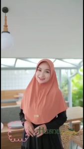 Hijab Daily S Husna: Bergi Jilbab Reguler & Jilbab Kerudung Instant