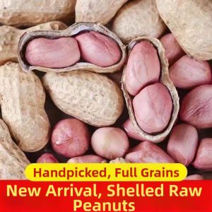 High-yield Raw Peanut Seeds 5 Jin