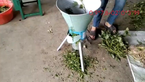 Máy xay rau bèo tây máy lắp công suất 550w