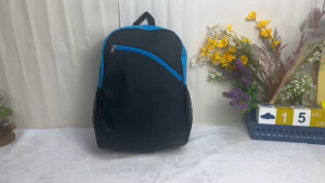 Lora Laptop Backpack with compartment and Pockets functional for Casual Work Study Outstation