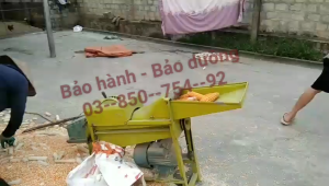 Máy tách bắp ngô khô dòng nhỏ ngọn cho gia đình giá rẻ