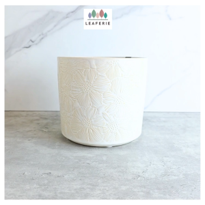 The Leaferie Otis plant pots. flowerpot . flowerpots . flower pot . planter . planters . Ceramic . Plants