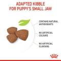 Royal Canin Mini Puppy Dry Dog Food 2kg & 4kg. 