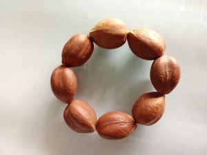 Gelang biji kenari /almond unik sekali