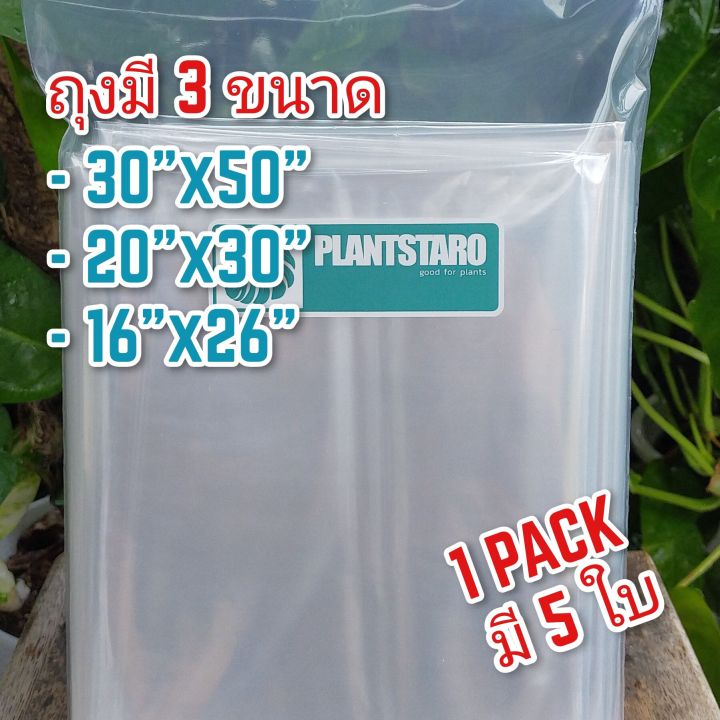 ถุงอบต้นไม้ ถุงใสขนาดใหญ่ 5 ใบ สำหรับเพาะชำและดูแลพืช