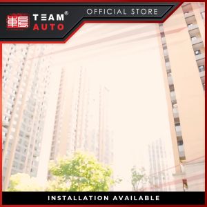 TeamAutoCare TAC40383 Car Antibacterial Velvet Suede Lumbar Cushion