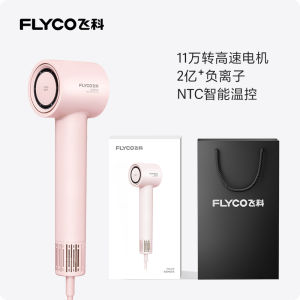 High-Speed Flyco Hair Dryer Negative Ion Fast-Drying Hair Protection Intelligent Constant Temperature No Damage Blow Dryer