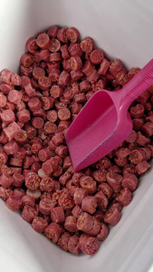 Racun Tikus MATIKUS 50g/100g/250g/500g/1kg brodifacoum rat mouse rumah office gudang kebun sawit durian kilang tikus norway mencit rumah tikus belukar syngenta