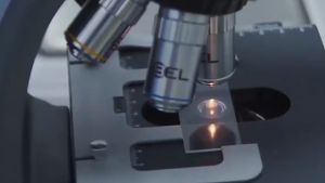 Tinh Dầu Hương Cafe Tấm Thị Nguyên Chất Thiên Nhiên 100% Lọ 10ml Tinh Dầu Cafe Thơm Phòng Giúp Đuổi Muỗi Khử Mùi