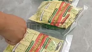 Plant Climbing Net For Garden Plants Durable Nylon For Cucumber Vine Fruits Climbing Vine Plants