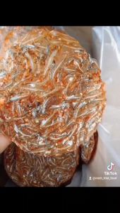 Bánh Tráng Cá Cơm Vựa Khô Phi Yến Ướp Gia Vị Vừa Ăn Dùng Chiên Hoặc Nướng