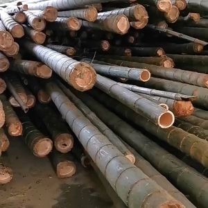 Bamboo Handmade Natural Body Back Scratcher Roll Itch Relief Alat Penggaru Gatal Kayu Bamboo 孝道大号竹制地摊痒痒挠老人按摩止痒神
