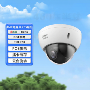 Dahua | 2 Million Pixel POE Zoom Dome PTZ Camera