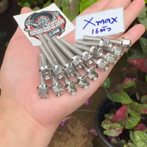 น็อตแคร้งเครื่องหัวเหลี่ยม หัวสนาม 16ตัว Xmax Xmax300 น็อตเลสแท้ ใส่ได้ตรงรุ่น ใหม่ล่าสุด