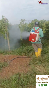 FOGGING OIL FOR FOGGER MACHINE MINYAK FOGGER 农业专用雾化剂 快螳螂冷雾剂专用 COLD FOG Fogging Agent – Refined Plant-Based Vegetable Oil