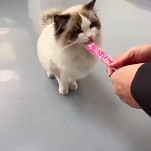 Makanan Kucing Meow Little Fat Cemilan Hewan Peliharaan 15gr Strip Snack For Cat