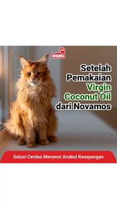 NOVAMOS Minyak VCO Virgin Coconut Oil Kucing dan Anjing 50 ML