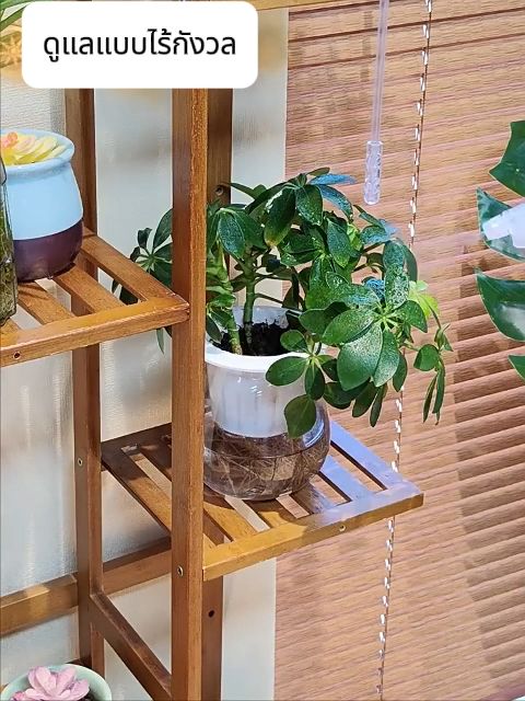 ขาตั้งดอกไม้ไม้เนื้อแข็งหลายชั้น สำหรับระเบียง