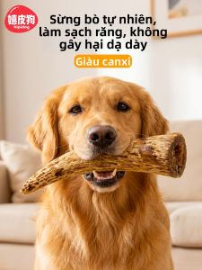 hipidog | Thức Ăn Nhái Cho Chó Bổ Sung Canxi