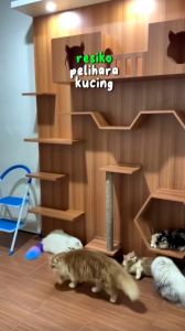 Pengusir Kucing QuickPick Aman & Efektif