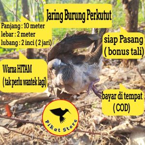 JARING BURUNG PERKUTUT JARING KUTUT #10 JARING PERKUTUT JARING BURUNG YANG MURAH JARING BURUNG PENTET JARING MANUK KUTOT JARING BURUNG 2 INCI JARING BURUNG SIAP PAKE JARING BURUNG SEGALA JENIS BURUNG JALA PIKAT BURUNG SIAP PASANG PERANGKAP BURUNG AKURAT