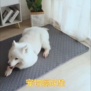 [Rẻ vô địch] Thảm Chống Thấm - Thảm Đi Vệ Sinh Cho Chó Mèo Có Thể Tái Sử Dụng Nhiều Lần