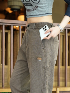 Mens Fleece Lined Thick High End Wide Leg Drapey Fabric Casual Loose Straight High Quality Mens Elastic Pants Leisure Trousers