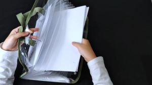 Long Accordian File Organizer Expanding File Folder 13 Pocket  Document File Organizer Horizontal Document Receipt Folder School Stationery