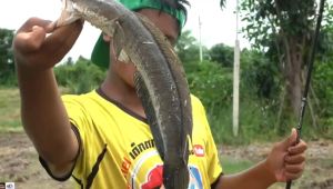 Sougayilang Joran dan Reel 1.8 Meter 2 Bagian Casting Fishing Rod dan 12 + 1 BB 7.2:1 Rasio Gear Rem Magnetik Baitcasting Reel Memancing Baris Lure Combo Set