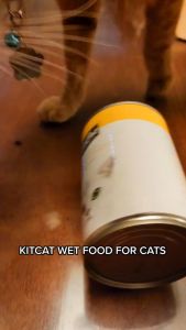 Adult Kitten ALL Stages 400g Kitcat Kit Cat Wild Caught Grain Free Can Cat Food Cat Pet Essentials