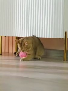 Interactive Cat Toy Mouse for Cats USB Charging Rotating Butterfly Noise Ball Bouncing Fish Play-Catch Training Toy for Indoor