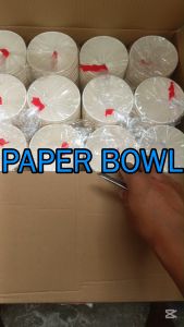 DragonWare 390cc PAPER BOWL PLAIN pack/50pcs food rice meals egg meat tapsilog fried