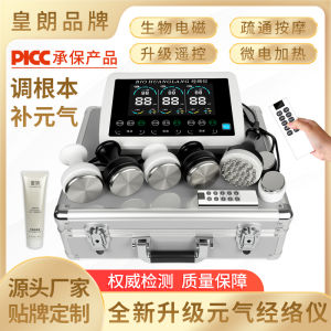 Biological Energy Meridian Instrument Full Body Massage Beauty Therapy Device Acupoint Stimulation Electrotherapy Equipment
