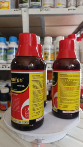 INSEKTISIDA SPONTAN 400 SL(Dimehipo 400 g/l) 500 ml Insectisida Kimia Cair Pengendalian Hama Dimehipo - Lazada