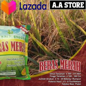 Benih Padi Beras Merah Pulen Harga Ekonomis / Kemasan 1=kg