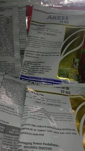 Insektisida AKESS 50 WG 100 Gram