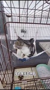 Tempat Tidur Gantung Kucing Hewan Peliharaan Candy Reversible Hammock For Cat Pet Swing Hanging Bed