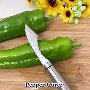 Pembuang Biji Cili Peria Lada Seed Remover Tool Vegetable Chili Pepper Corer Removal  青椒去籽苦瓜挖籽器
