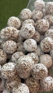 ITOSHI 500g Large Nano Ceramic Bio Ball Bioball Sphere Aquarium Fish Tank Biological Filter Media