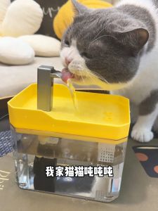 Automatic Pet Water Dispenser Circular Flow Drinking Fountain Dog Waterer Cat Feeder Live Water Bowl Pet Water Basin