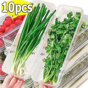 10pcs Vegetable Food Storage Boxes with Lid / Clear Rectangular Scallion Spaghetti Container / Multi-Purpose Kitchen Organizer for ScallionOnions Fruit / Large Capacity Dampproof Refrigerator Crisper