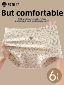 JIAZINI | Antibacterial High Waist Cotton Women Shorts