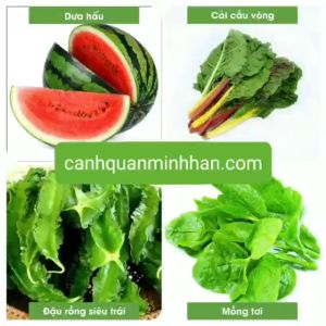 Hạt giống Ớt chỉ thiên Ớt hiểm Ớt ngũ sắc Ớt chuông đà lạt Ớt sừng vàng đồng giá| Minh Hân Garden