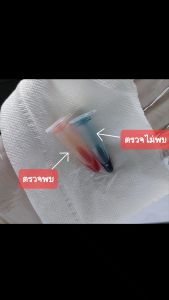 ชุดทดสอบปรอทในเครื่องสำอาง ตรวจครีมใส่ปรอท