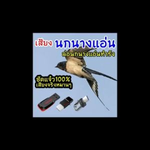 เสียงนอกต่อนกนางแอ่น V1 เมม/แฟลชไดร์ฟเสียงต่อนกนางแอ่นเข้ารังทำรัง มีเก็บเงินปลายทาง ชัดแจ๋วเข้าไว100% ไม่มีโฆษณาแทรก (MP3 เสียงต่อสัตว์)