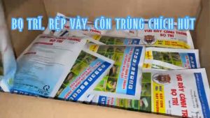 RẦY cánh TRẮNG - bọ trĩ 100gam BỌ NHẢY rầy nâu rệp sáp bọ trĩ rệp vảy côn trùng chích hút hại cây. MÁT KHÔNG ẢNH HƯỞNG MẦM HOA