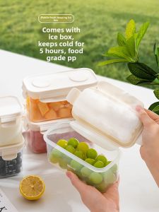 Dehub | Portable Insulated Food Container with Ice Compartment