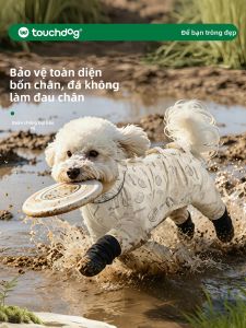 Touchdog | Bao Chân Chó Chống Bụi